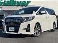 2017 Toyota Alphard