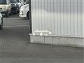2025 Toyota Vellfire