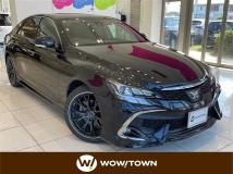 2019 Toyota Mark X