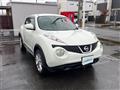 2010 Nissan Juke