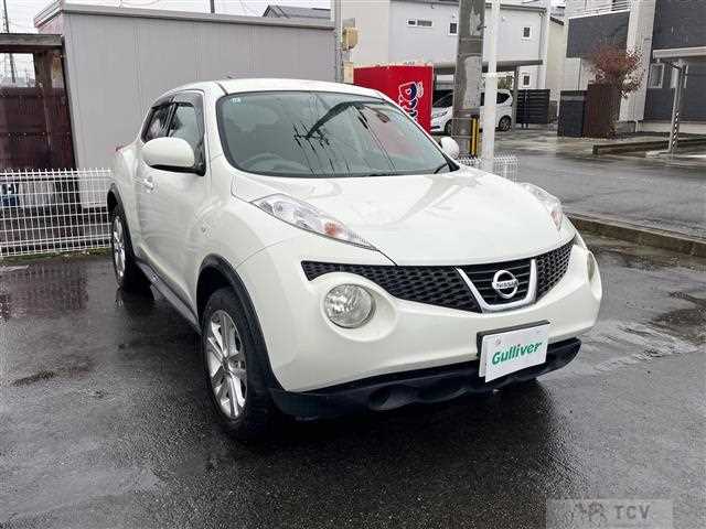 2010 Nissan Juke