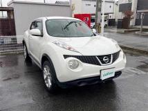 2010 Nissan Juke