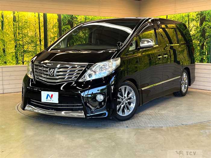 2010 Toyota Alphard