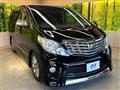 2010 Toyota Alphard