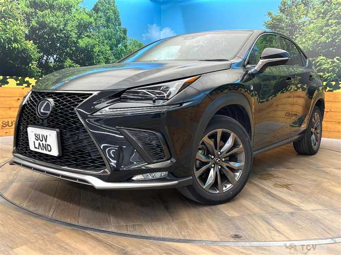 2018 Lexus NX
