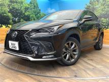 2018 Lexus NX