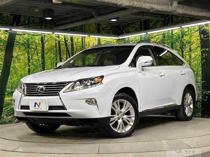 2013 Lexus RX