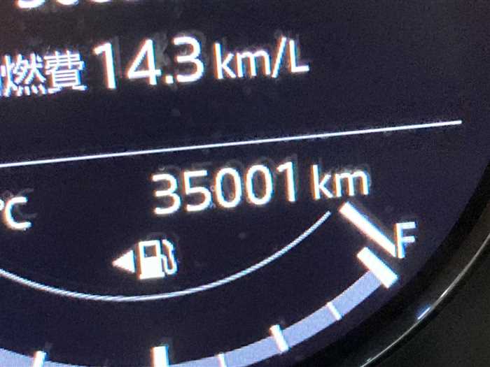 Mazda Cx-8 2019 photo 3