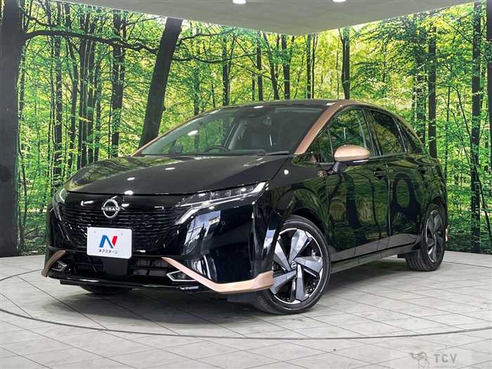 2021 Nissan Nissan Others