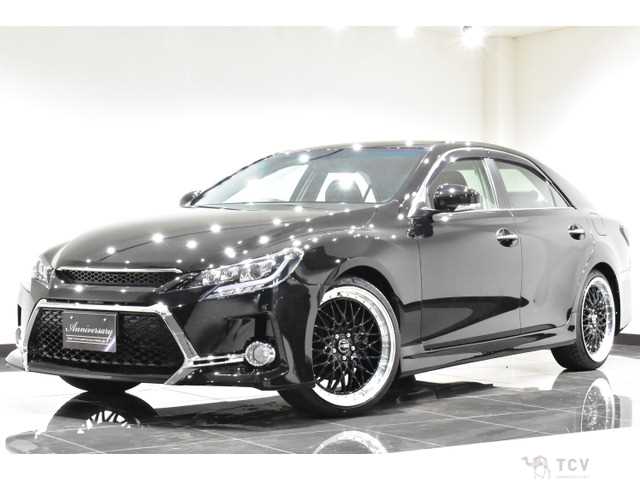 2010 Toyota Mark X