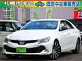 2017 Toyota Mark X