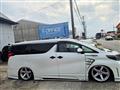 2022 Toyota Alphard G