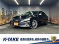 2019 Toyota Mark X