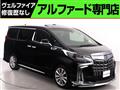 2019 Toyota Alphard G
