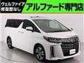2019 Toyota Alphard G