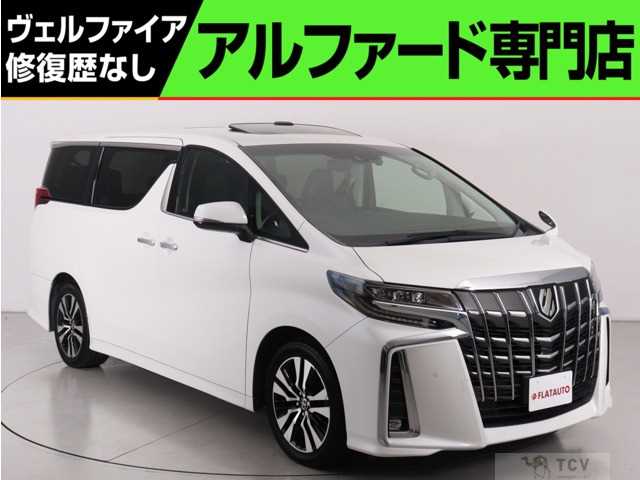 2019 Toyota Alphard G