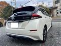 2019 Nissan Nissan Others