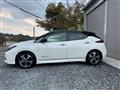 2019 Nissan Nissan Others