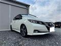 2019 Nissan Nissan Others