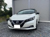 2019 Nissan Nissan Others
