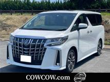 2023 Toyota Alphard G