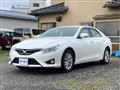2014 Toyota Mark X