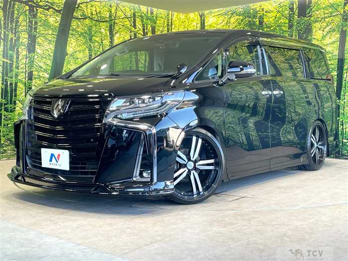 2019 Toyota Alphard