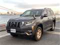 2019 Toyota Land Cruiser Prado