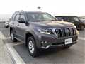 2019 Toyota Land Cruiser Prado