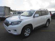 2019 Toyota Land Cruiser Prado