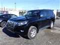 2019 Toyota Land Cruiser Prado