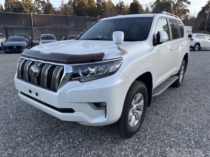 2019 Toyota Land Cruiser Prado
