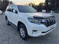 2019 Toyota Land Cruiser Prado