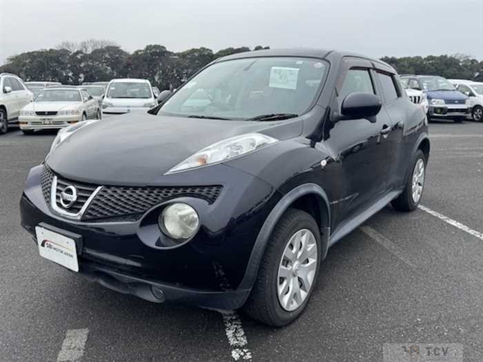 2010 Nissan Juke