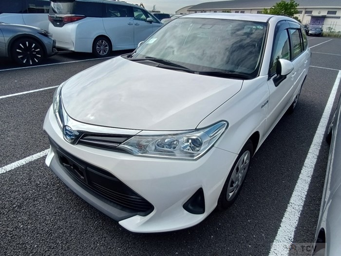 2019 Toyota Corolla Fielder