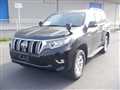 2019 Toyota Land Cruiser Prado
