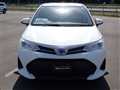 2019 Toyota Corolla Fielder