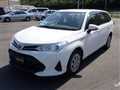 2019 Toyota Corolla Fielder