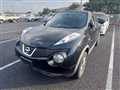 2010 Nissan Juke