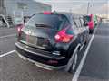 2010 Nissan Juke