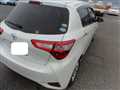2019 Toyota Vitz