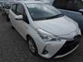 2019 Toyota Vitz