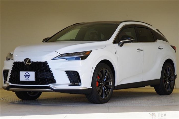 2025 Lexus RX