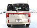 2024 Mitsubishi Delica D5