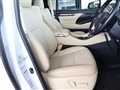 2023 Toyota Alphard Hybrid