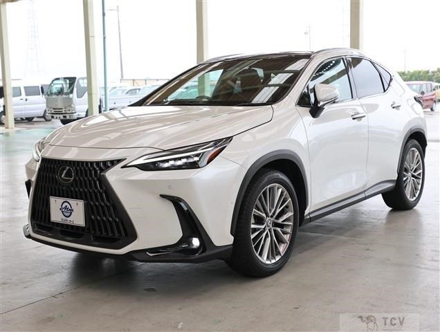 2023 Lexus NX
