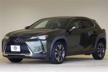 2020 Lexus UX