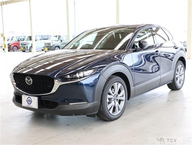 2021 Mazda CX-30