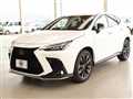 2025 Lexus NX