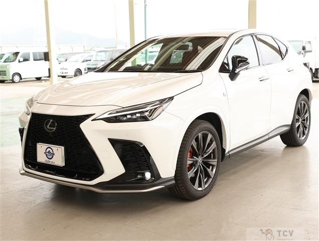2025 Lexus NX